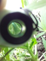 20190730_140051.jpg 20190730_140051.jpg