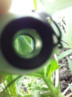 20190730_140054.jpg 20190730_140054.jpg