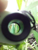 20190730_140056.jpg 20190730_140056.jpg