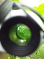20190730_140133.jpg 20190730_140133.jpg