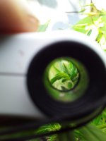 20190730_140351.jpg 20190730_140351.jpg
