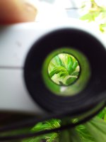 20190730_140354.jpg 20190730_140354.jpg