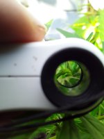 20190730_140356.jpg 20190730_140356.jpg