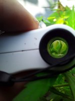 20190730_140358.jpg 20190730_140358.jpg