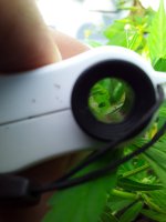 20190730_140445.jpg 20190730_140445.jpg