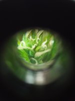 20190730_140521.jpg 20190730_140521.jpg