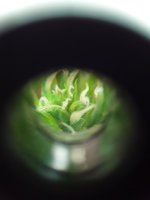 20190730_140526.jpg 20190730_140526.jpg