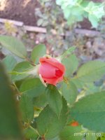 IMG-20190801-WA0057.jpg