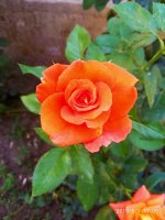 IMG-20190801-WA0055.jpg