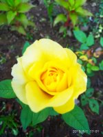 IMG-20190801-WA0054.jpg