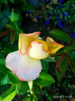 IMG-20190801-WA0040.jpg