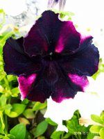 IMG-20190801-WA0041.jpg
