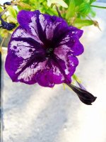 IMG-20190801-WA0038.jpg