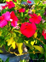 IMG-20190801-WA0024.jpg