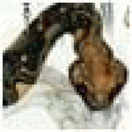 NimiCoado