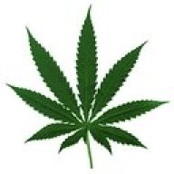 art-rastaman