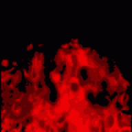 ganich1