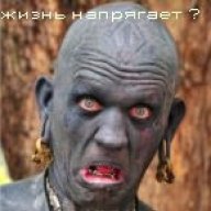 shishka