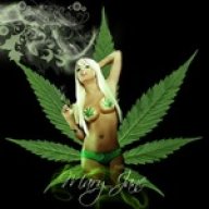 Black Jack