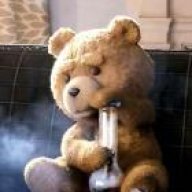 Teddy