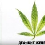 GrowerVanya