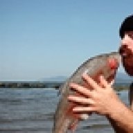 griga
