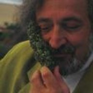 Sergey26