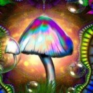 SOGrow