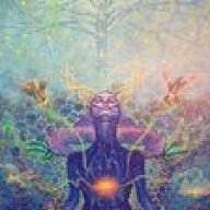 Shaman21