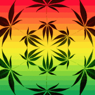 4Mega2Grower0