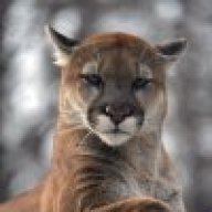 MightyPuma