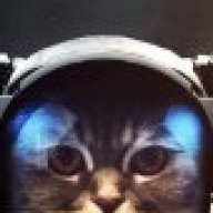 Котишка