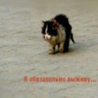 dobriyochag