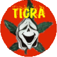 tigra
