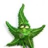 swed19