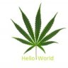 Hello_world