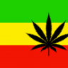 dafi05