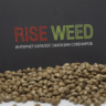 RISEWEED