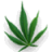 Riksus