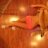 Olya_Svet