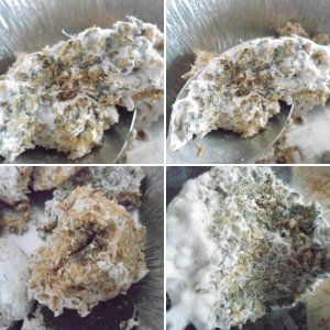 кубенсис
