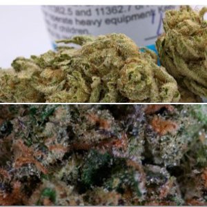 Banana Diesel