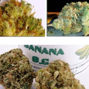 Banana OG