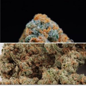Blue Crack