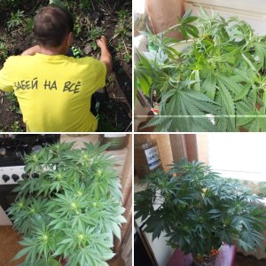 разное