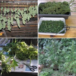 Outdoor-2015: Auto Mazar