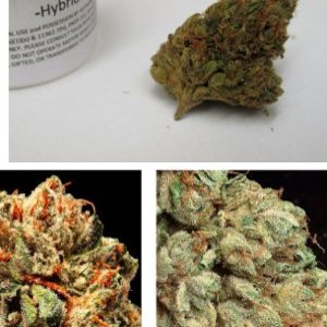 Ghost OG