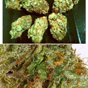 Confidential Cheese