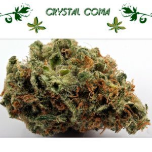 Crystal Coma