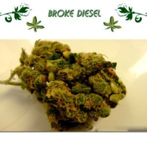 Broke Diesel